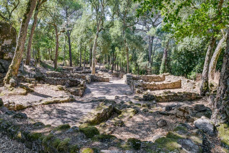 Castro de Santomé