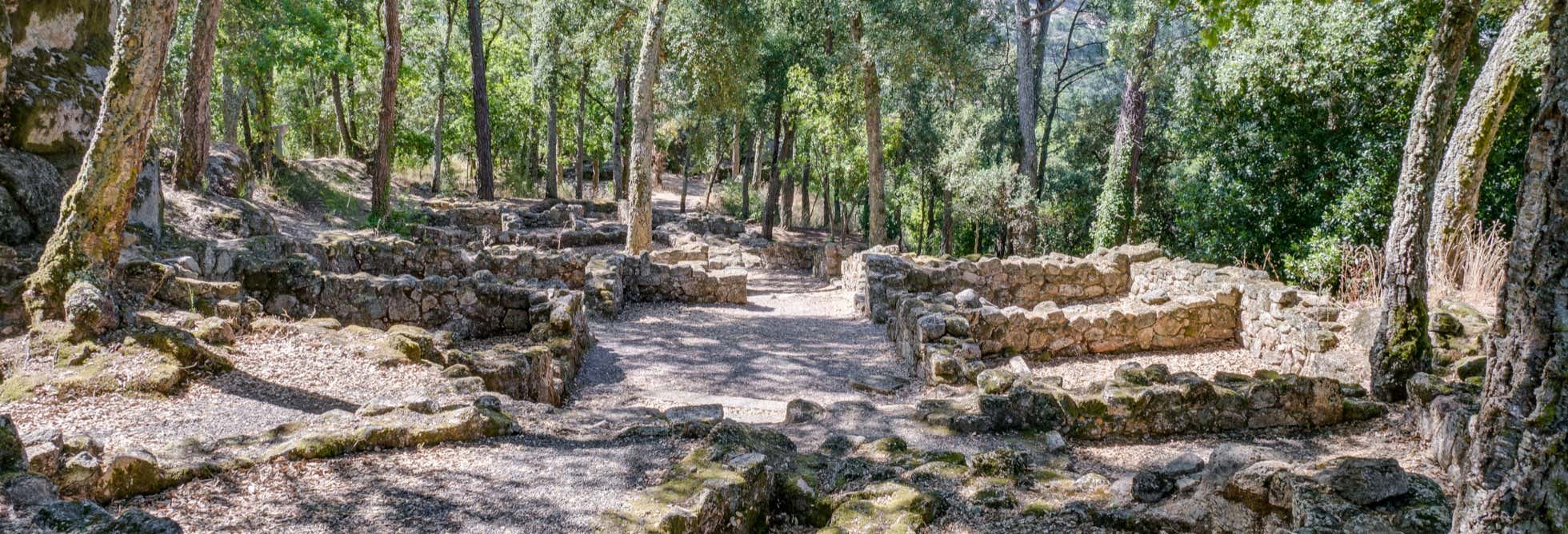 Visitas guiadas y free tours en Orense