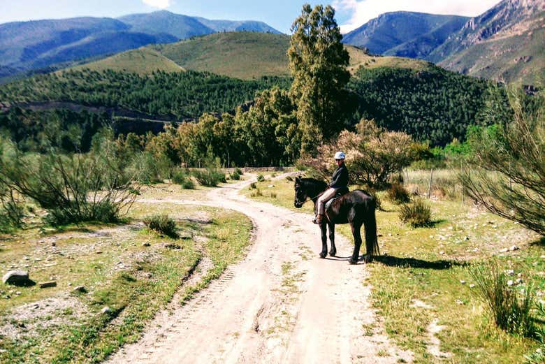 Seeing the mountains on horseback