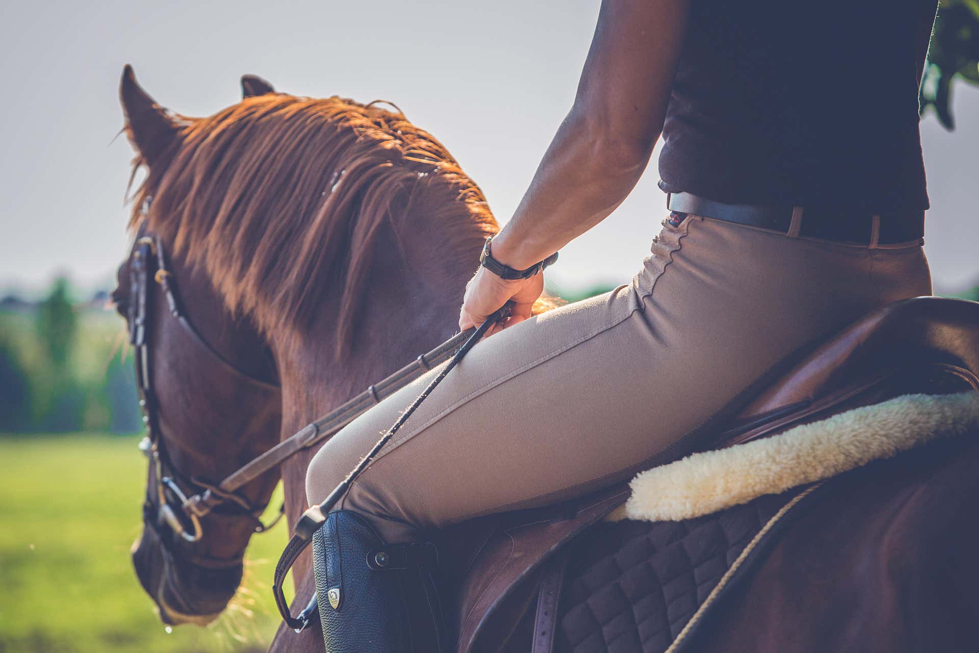 Alpujarra Horseback Riding Tour