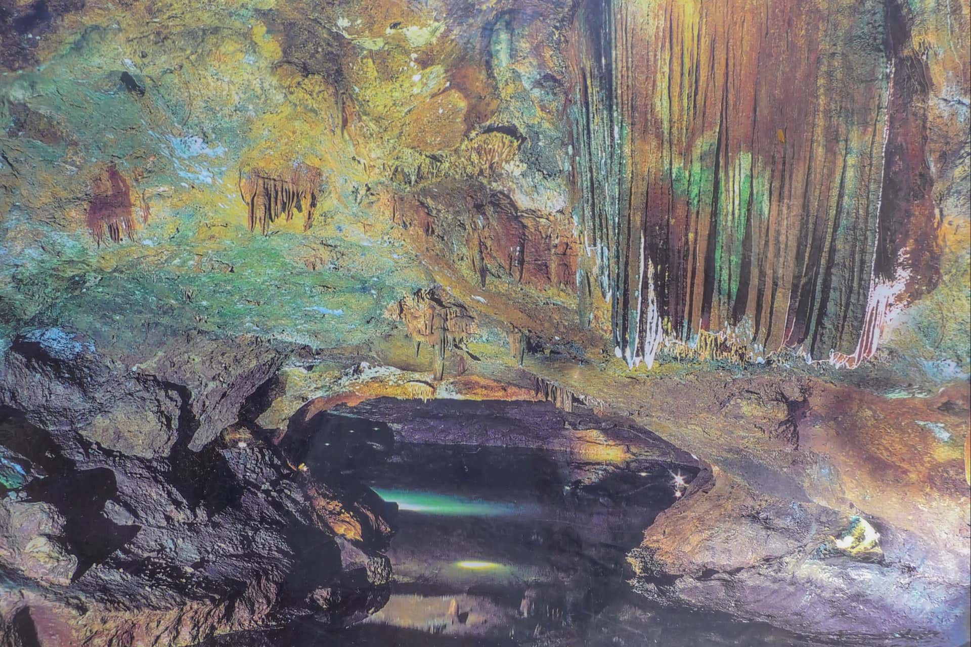 Excursion aux grottes de San José