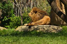 Excursion à Valence + Bioparc