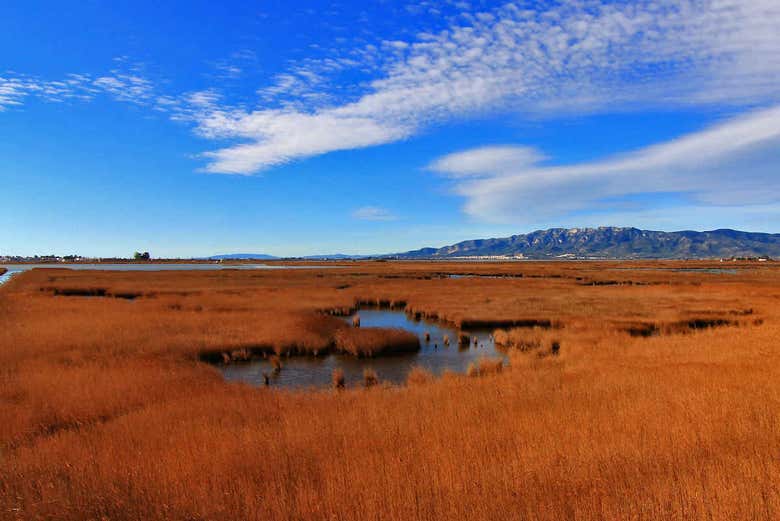 Parque Natural del Delta del Ebro
