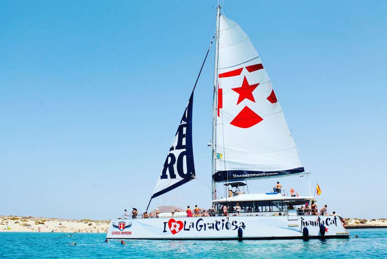 The catamaran