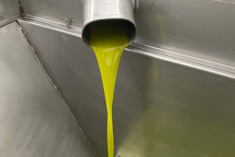 Descubriendo el proceso del aceite