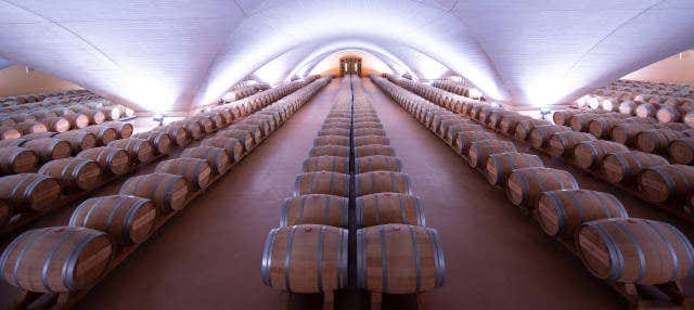 Visita a la Bodega Otazu