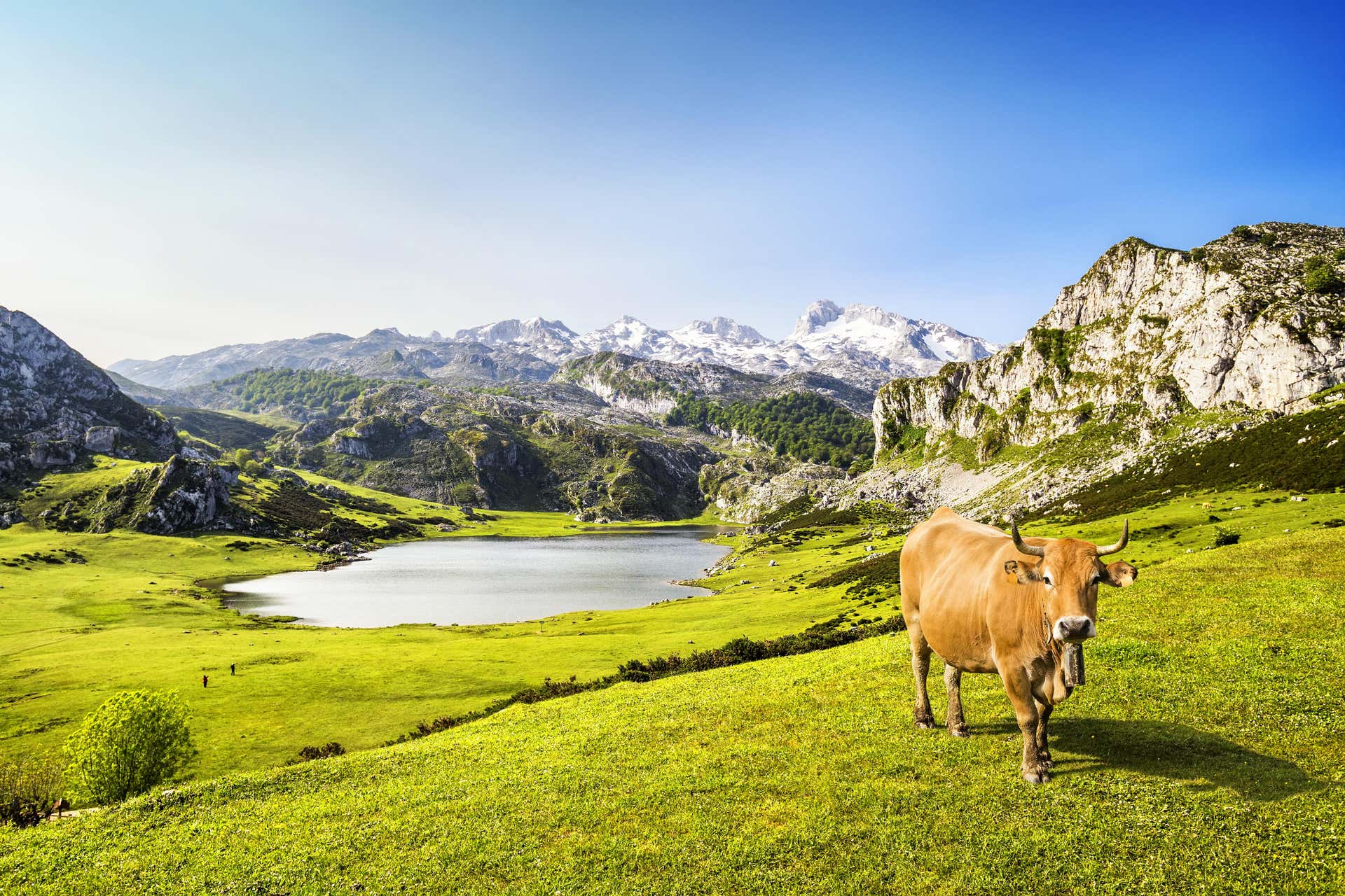 Excursión a Covadonga en grupo reducido