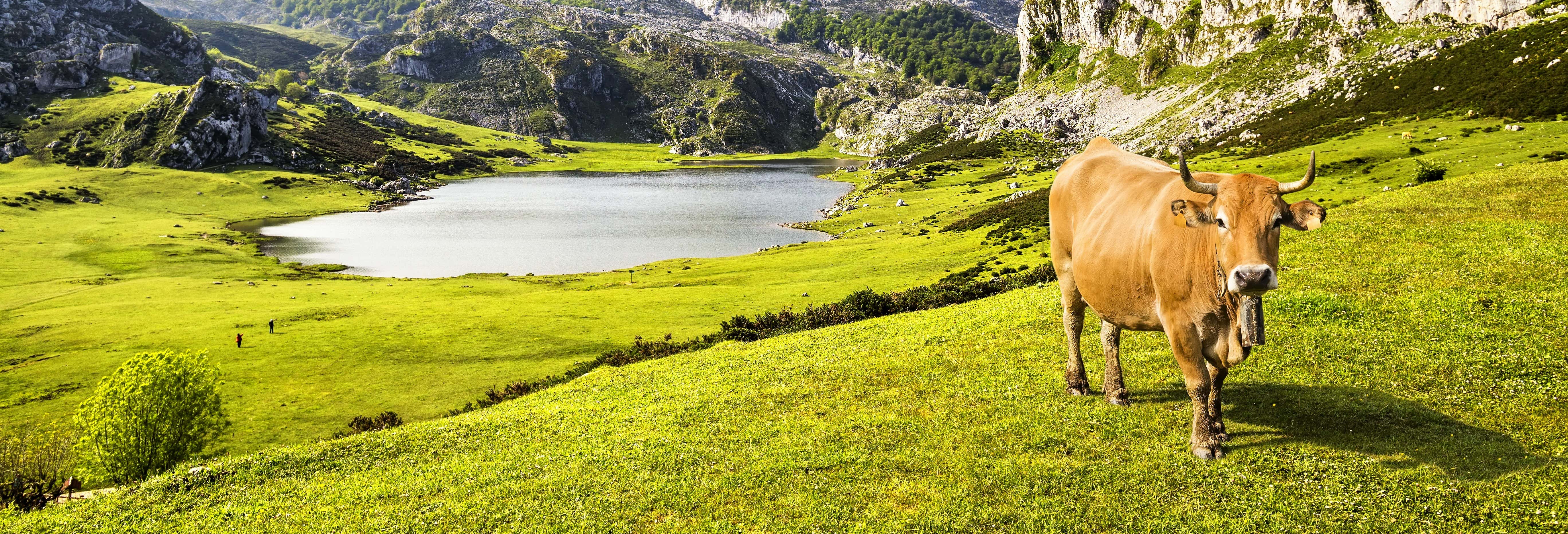 Day trips in Oviedo