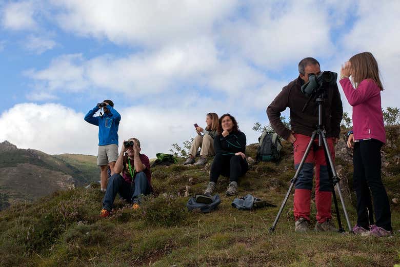 Preparados para contemplar la berrea