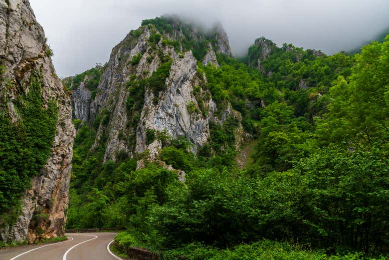 Estrada nos Picos de Europa