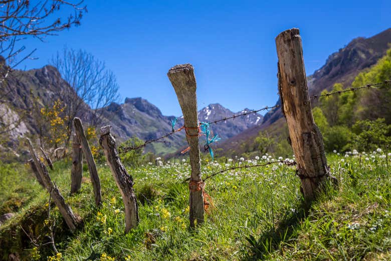 Profitez de la nature des Asturies