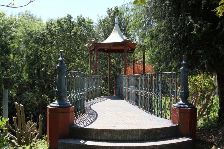 El bosque del Jardín de La Fonte Baxa