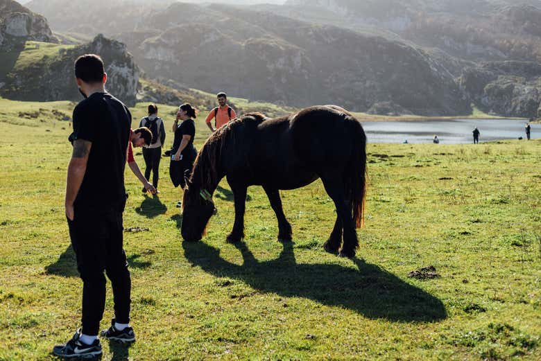A natureza dos lagos de Covadonga