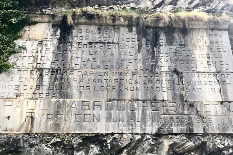 Descubriendo la historia de Ponga