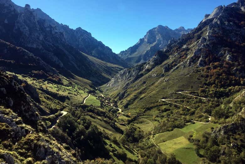 Picos de Europa