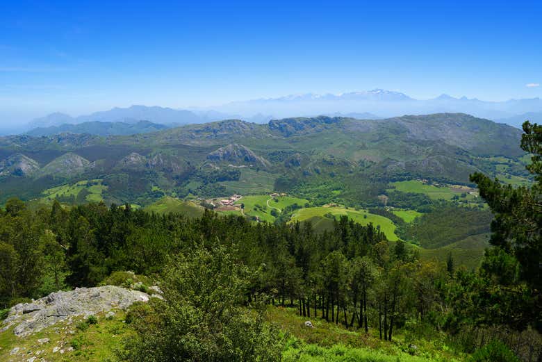Vistas de los Picos de Europa desde el Mirador del Fitu