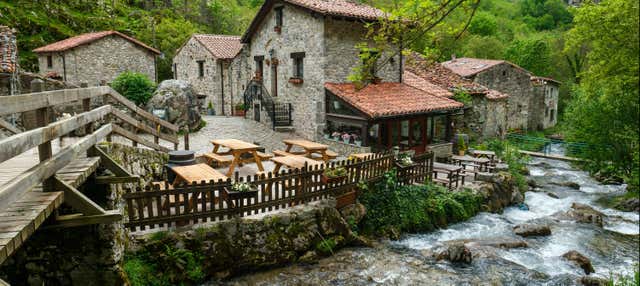 Excursão aos Picos de Europa + Gruta do Queijo de Cabrales com degustação