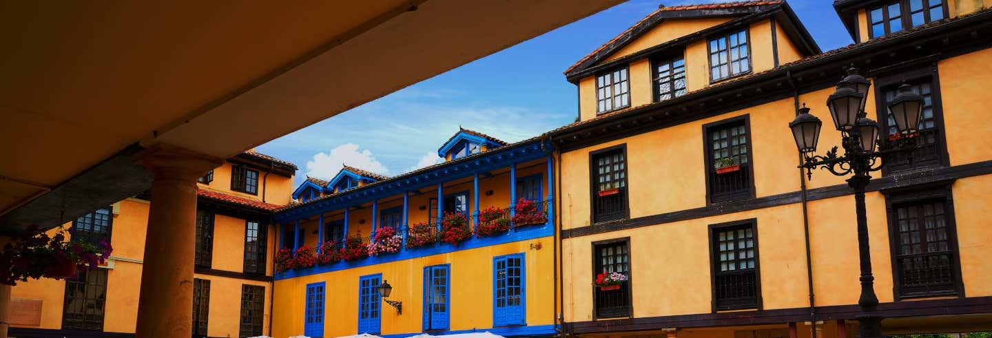 Visitas guiadas y free tours en Oviedo