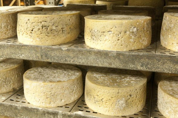 Tour del queso de Cabrales por Asturias