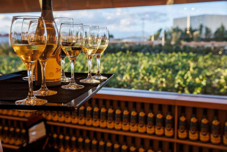 Uma degustação de vinhos com as melhores vistas