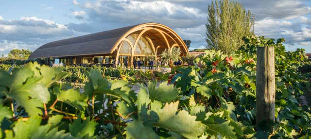 Visita a las Bodegas Faustino