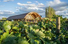 Visita a las Bodegas Faustino