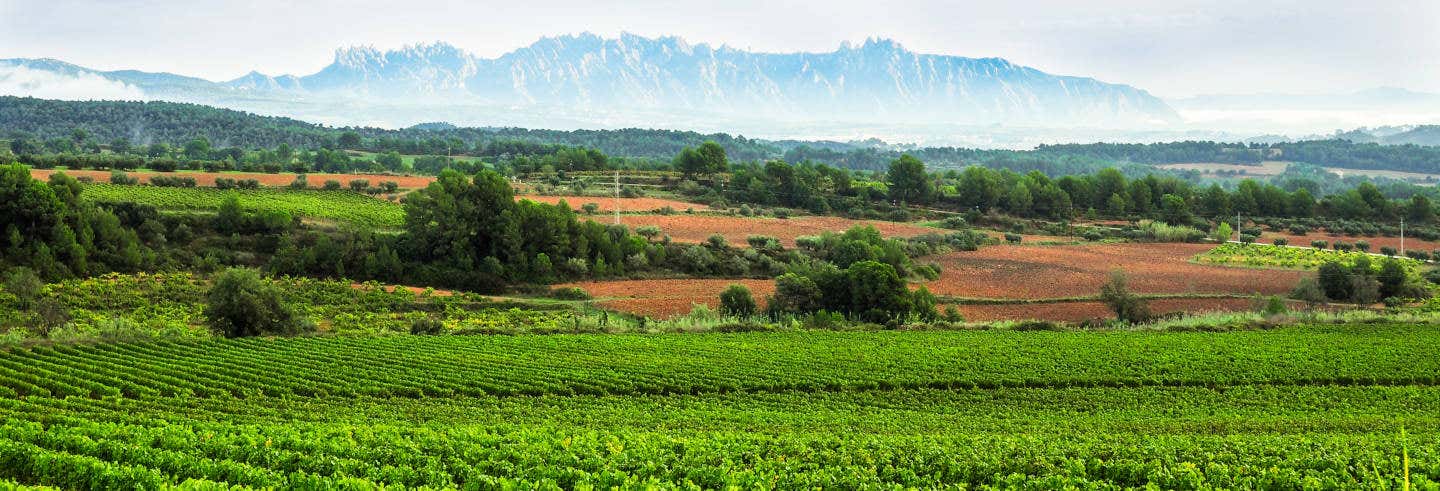 Pacs del Penedès