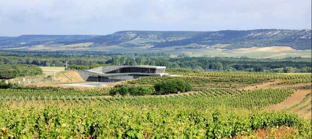 Visita a la bodega Tr3smano