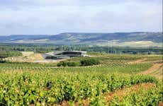 Visita a la bodega Tr3smano