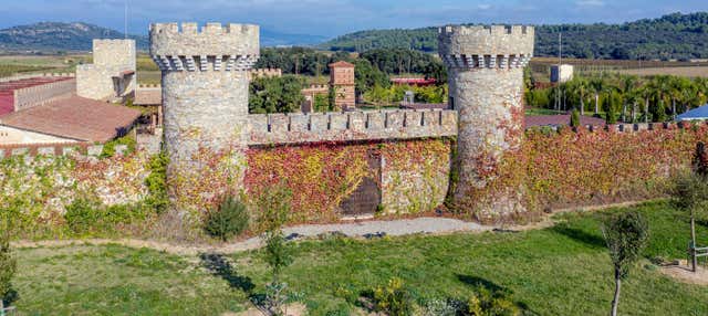 Excursion à Gérone et à l'Alto Ampurdán + Dégustation de vins
