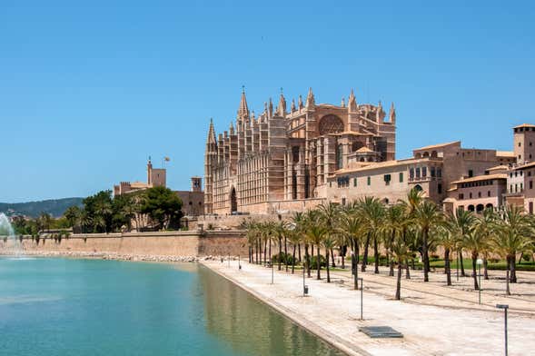 Autobús turístico de Palma de Mallorca