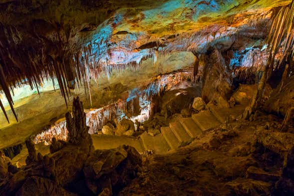 Escursione alle grotte di Drach e Hams + Porto Cristo