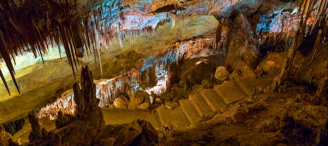 Excursión a las cuevas del Drach y Hams + Porto Cristo