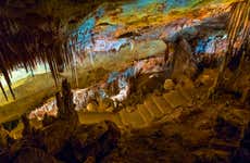 Excursión a las cuevas del Drach y Hams + Porto Cristo