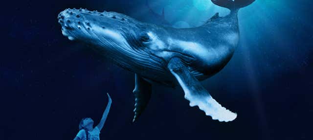 Entrada a Palma Aquarium