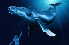 Palma Aquarium Ticket