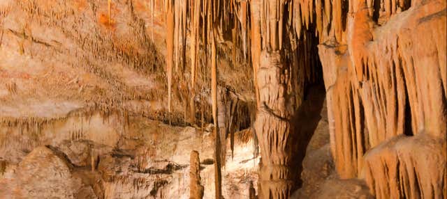 Espeleología marina en la Cova des Coloms