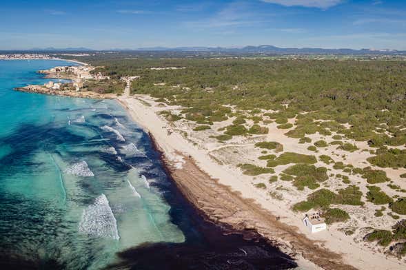 Excursión a Cabrera y Ses Covetes desde Palma