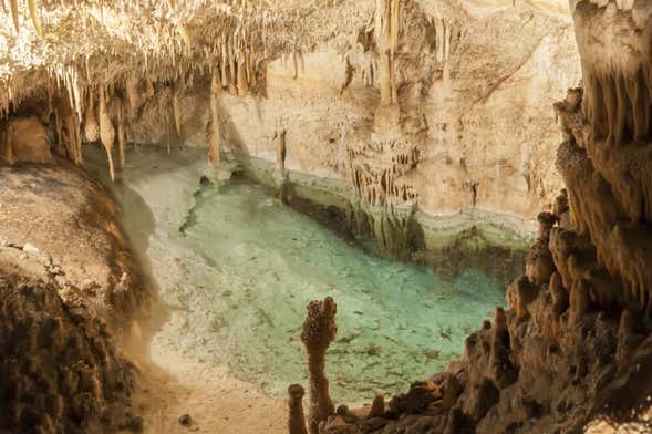 Escursione di un giorno intero alle grotte del Drago dal sud di Maiorca