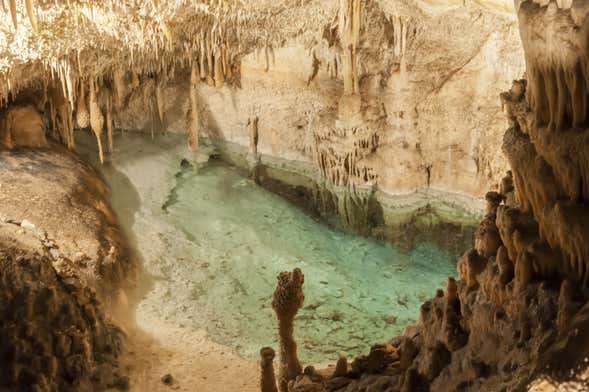 Excursión a las cuevas del Drach de día completo desde el sur de Mallorca