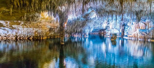 Excursión a las cuevas del Drach para cruceros