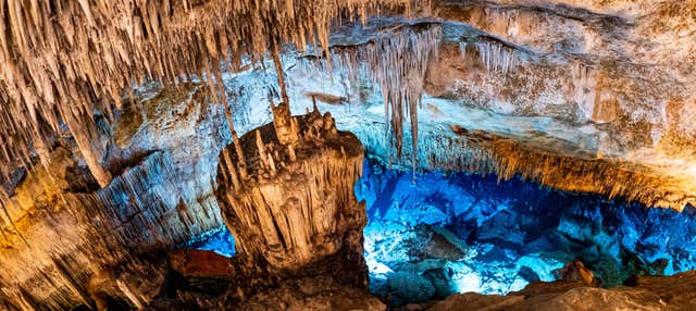 Excursión a las cuevas del Drach con concierto desde el sur de Mallorca