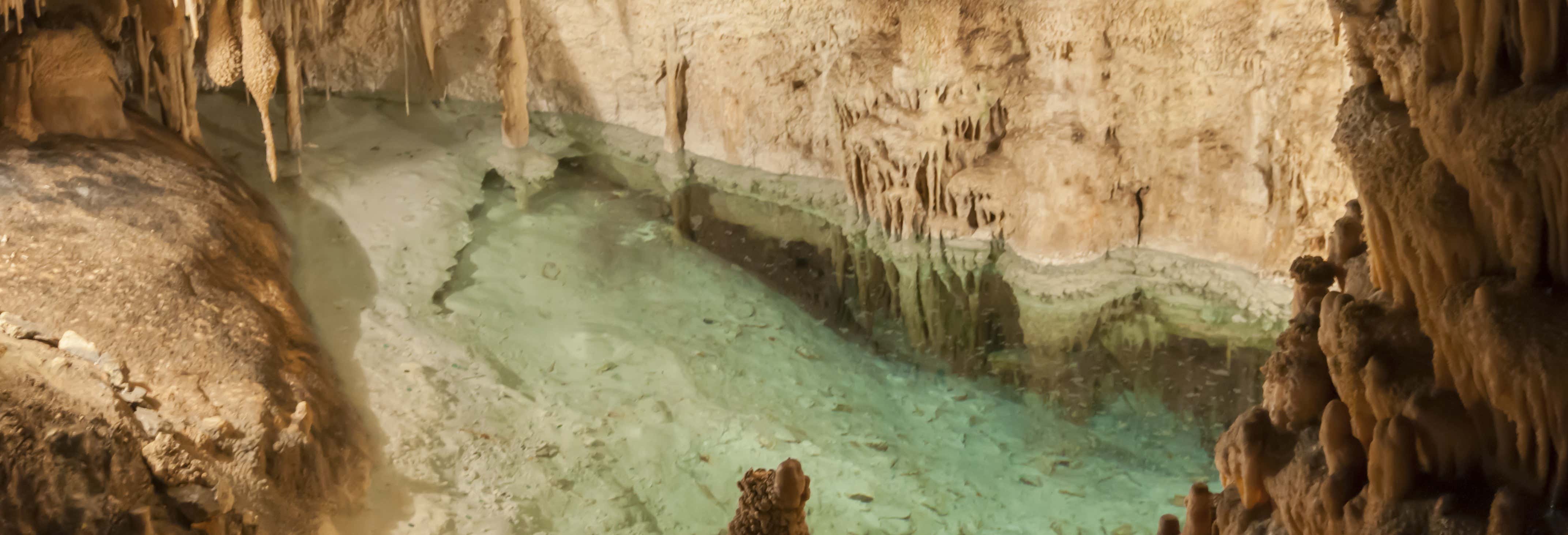 Excursiones de un día en Palma de Mallorca