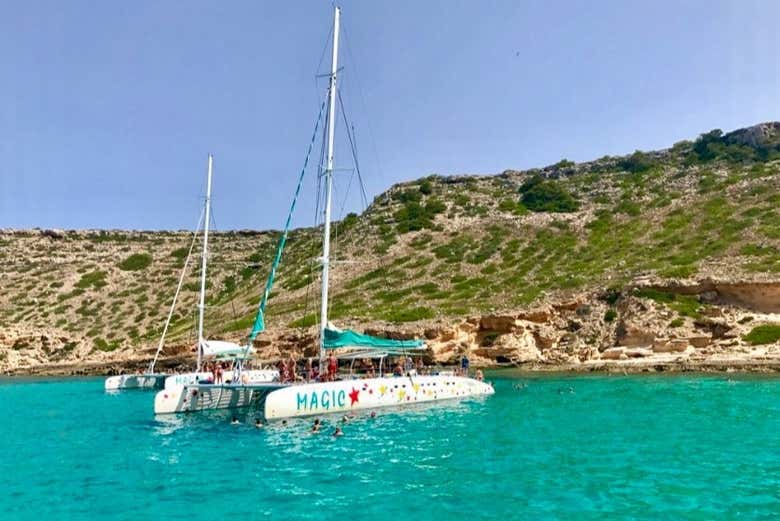Catamarán navegando por la bahía de Palma