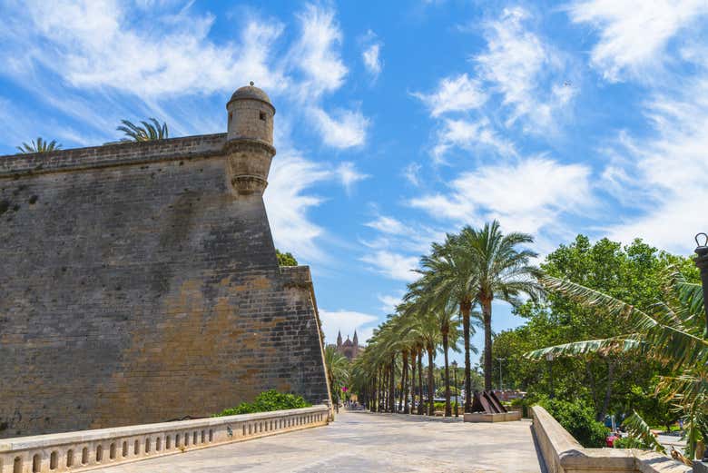 Baluarte de San Pedro