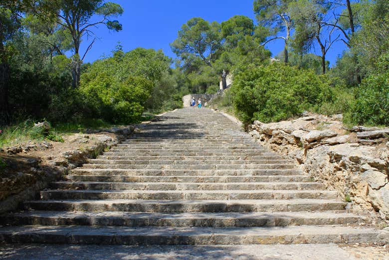 Climb the forest steps leading up to the castle