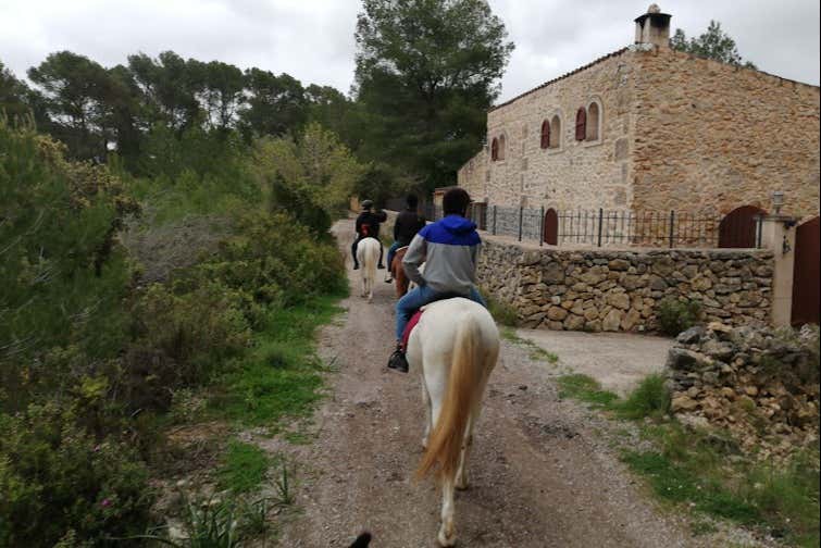 Cavalgando ao entardecer