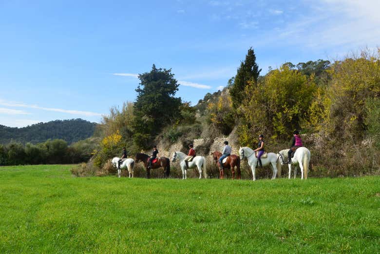 Horseback riding in the Mallorcan countryside around Randa