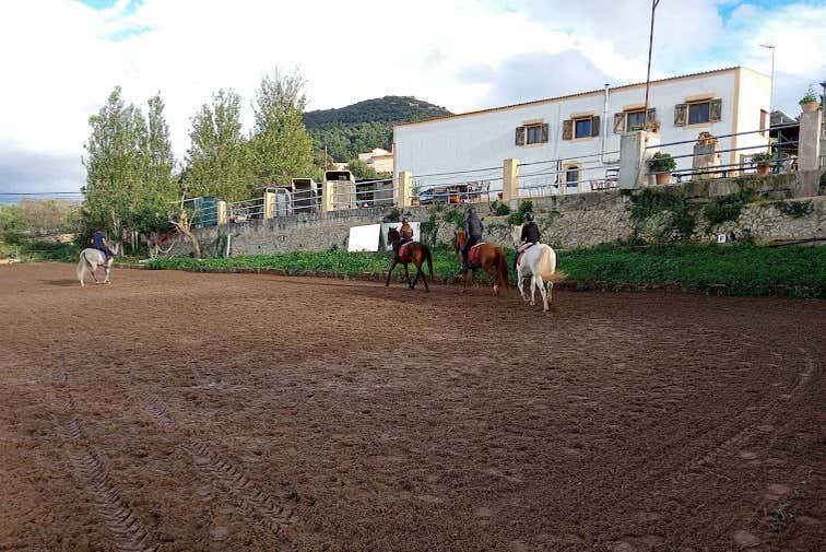 Preparados para cavalgar