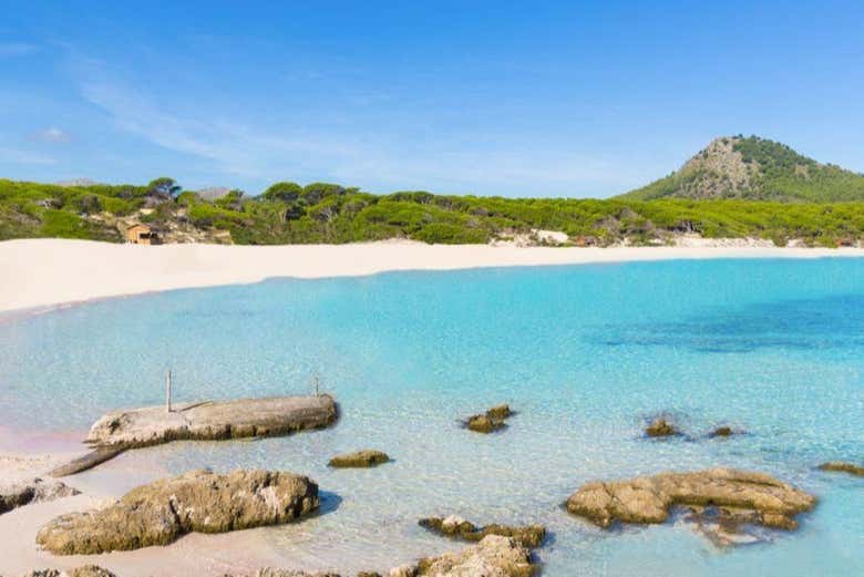 Benvenuti a Cala Mesquida!